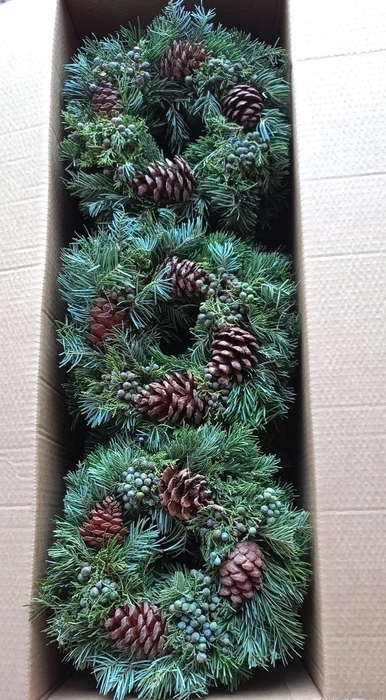 <h4>SIERFRUIT KRANS H%</h4>