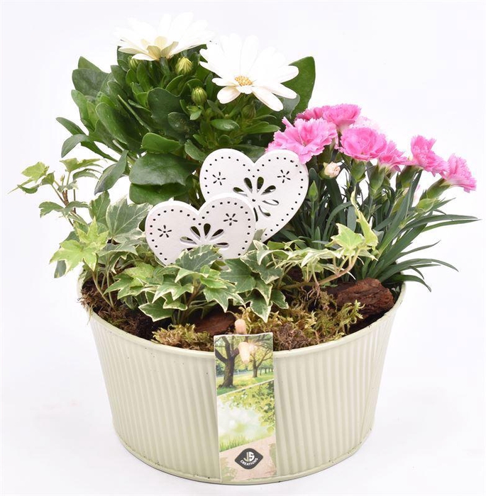 <h4>Zink schaal ribbel khaki 18cm</h4>