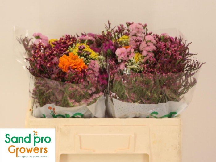 <h4>GEM ZOMERBOEKET</h4>