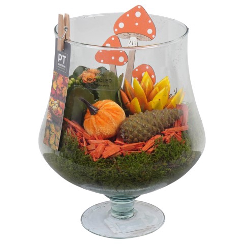 <h4>PTHG3404 Arrangementen kamerplanten</h4>
