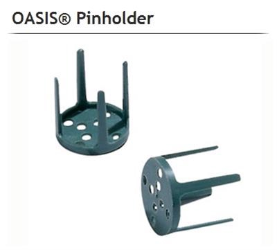 <h4>OASIS 31-04030 PINHOLDER X100</h4>