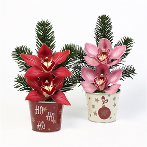 2119 ZINKPOT KERST 2 BL