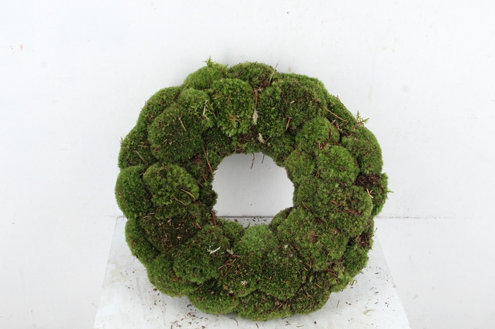 <h4>WREATH BOL MOSS 35CM</h4>