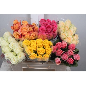 R Gr Gemengd In Fust