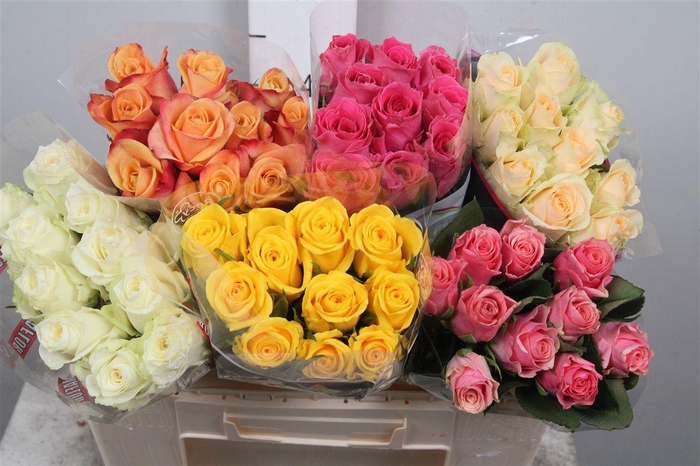 <h4>R Gr Gemengd In Fust</h4>