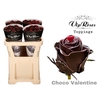R GR CHOCO VALENTINE x10