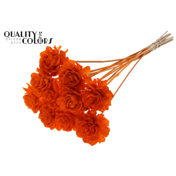 <h4>Shola Beauty Rose 6cm on stem Orange</h4>