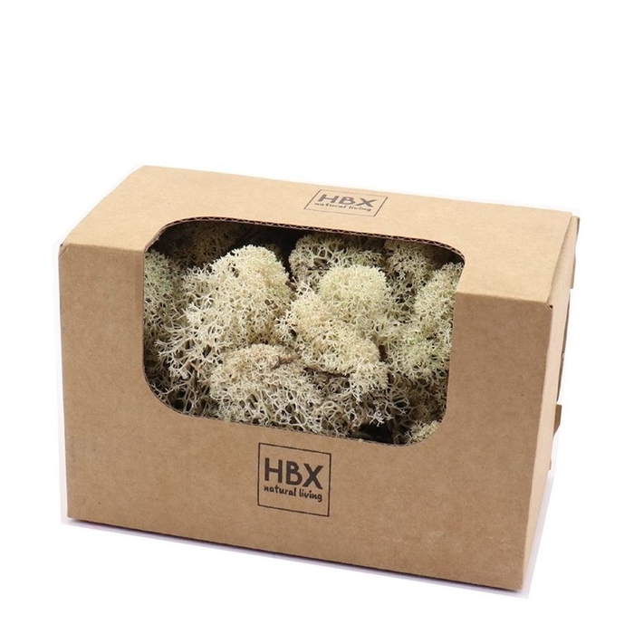 Preserved Rendiermos 50g