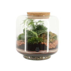 41545: Treasure time arrangement