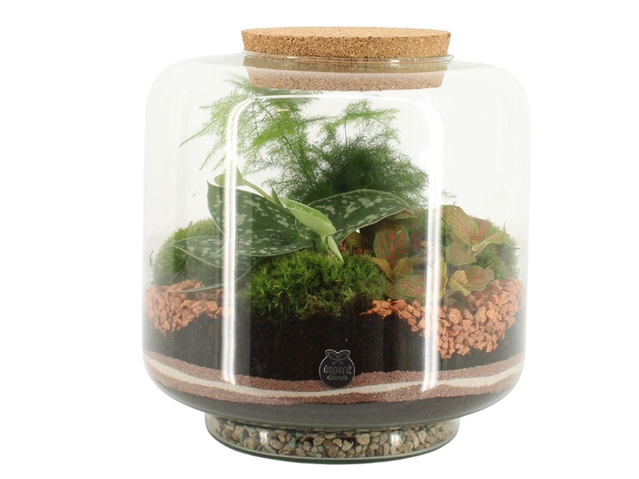 <h4>41545: Treasure time arrangement</h4>