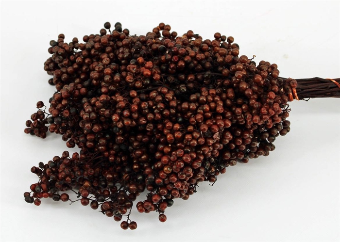 Schinus M Pt Brown Bunch