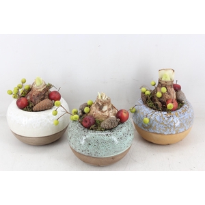 arr4 Amaryllis MB - Luxe bolpotje 813/3 mix