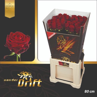 <h4>Rosa la red naomi! Premium Drift</h4>