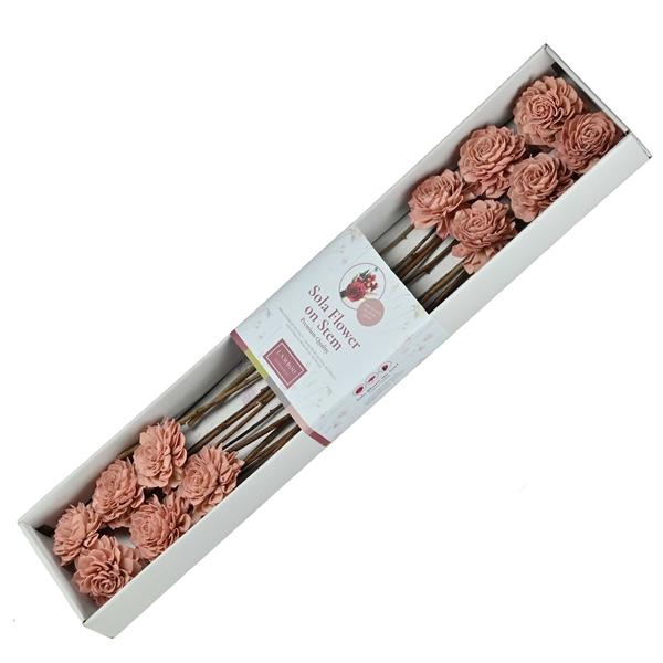 <h4>Sola Dahlia 8cm O/s 12 Pc Light Pink</h4>