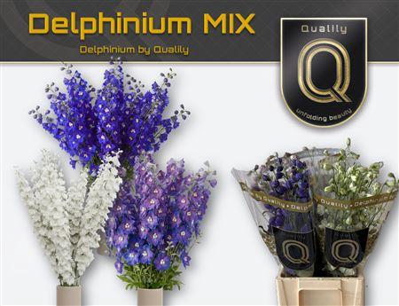 <h4>Delph Du Gem Fust 70cm Mix</h4>