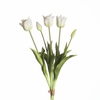 AF Tulip Bundle x5 L45cm White