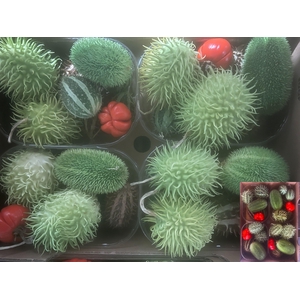 . Sierfruit Bak