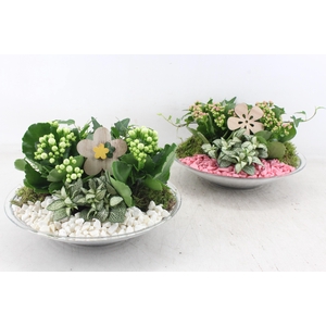 arr2 PL - Glas schaal 27cm - roze/wit