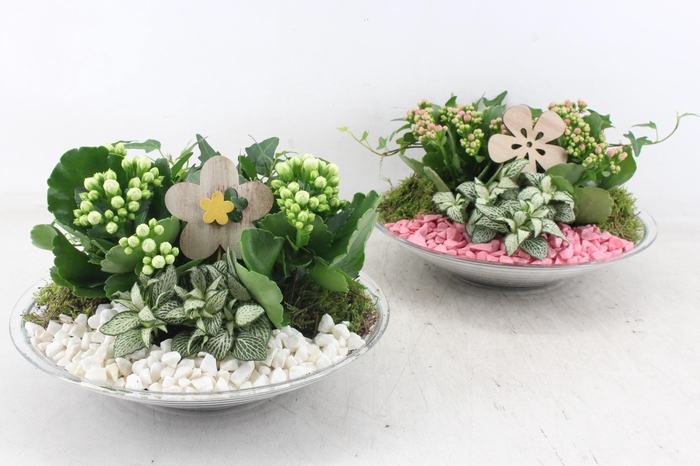 <h4>arr2 PL - Glas schaal 27cm - roze/wit</h4>