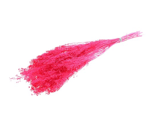 Bunch Broom Slv 100g L45