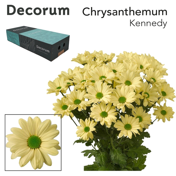<h4>Chr T Kennedy Cream Decorum exportbox</h4>