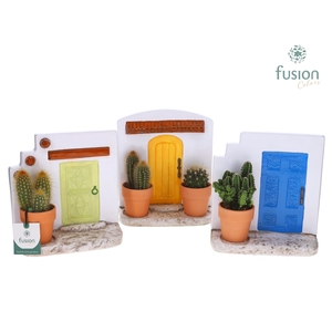 Terracotta Muurplanter met Cactus