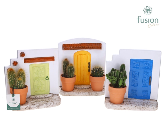 <h4>Terracotta Muurplanter met Cactus</h4>