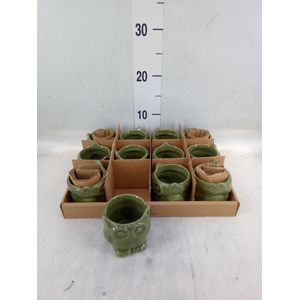 Pot   ...Keramische H%