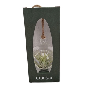 Arr.  Tillandsia L%