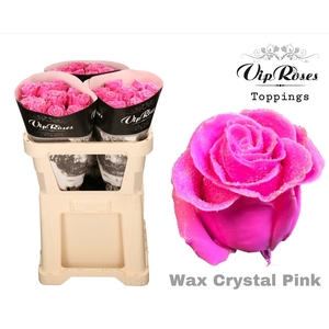 R GR WAX PINK CRYSTAL (60cm)