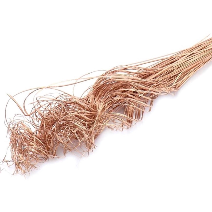 <h4>Droogdeco Curly TingTing 70cm 200g</h4>