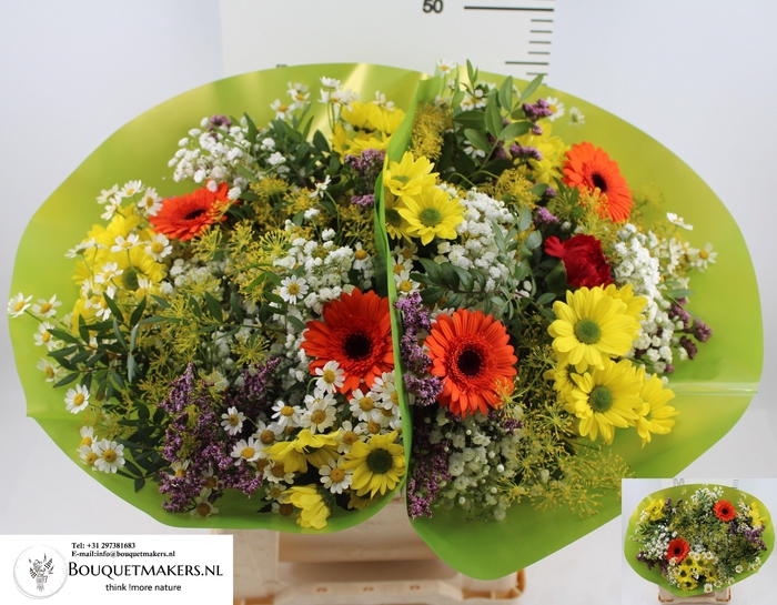 <h4>GEM BOEKET OV</h4>