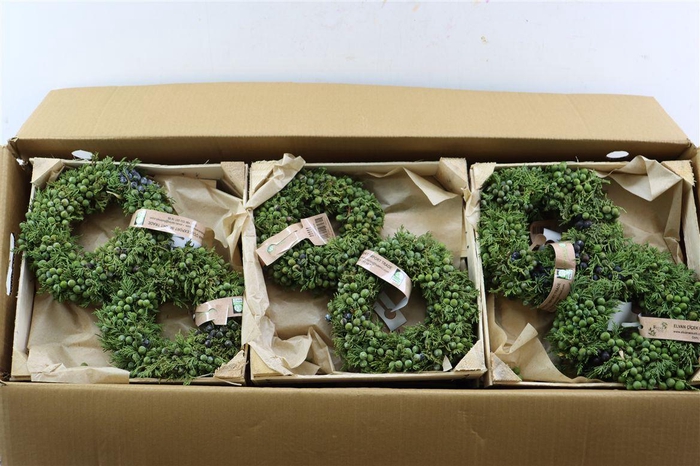 <h4>Wr Sierfruit Conemix Green 20cm</h4>