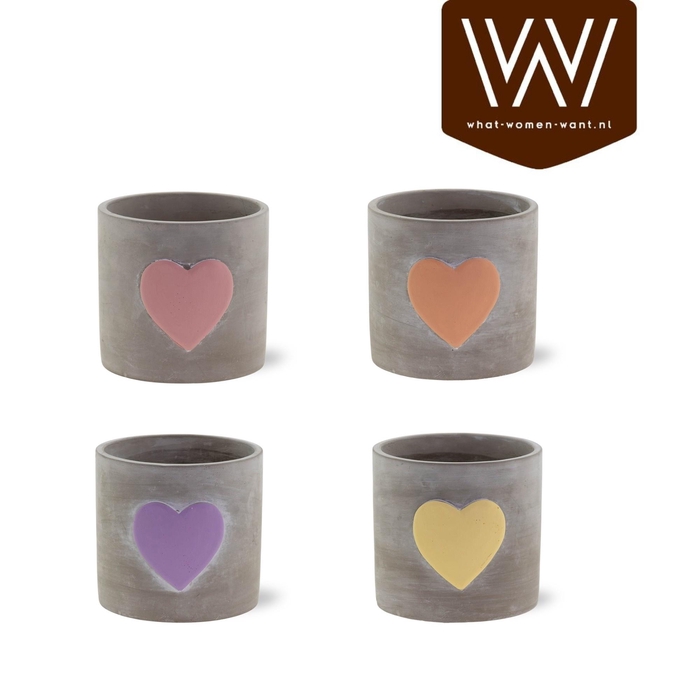 <h4>HUIS EN TUINDECO H%</h4>