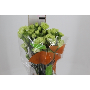 CRAVO SPRAY SKADI 060 CM