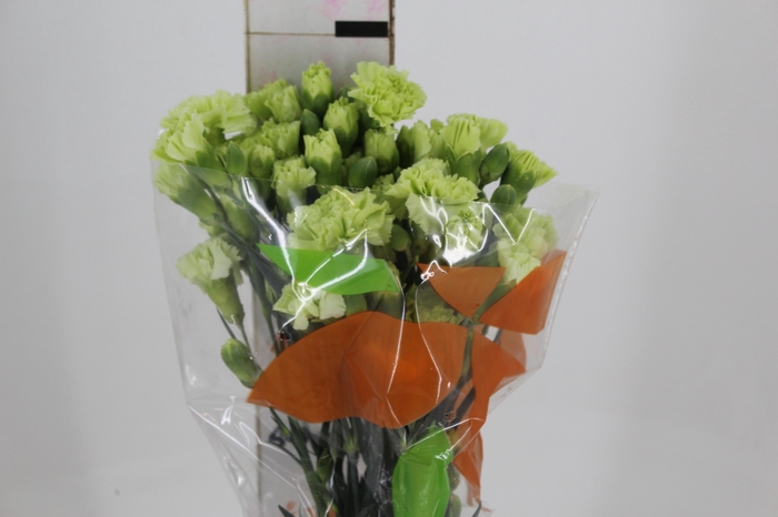 <h4>CRAVO SPRAY SKADI 060 CM</h4>