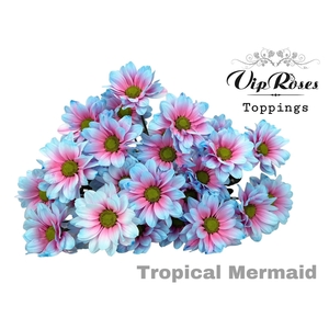 CHR T TROPICAL MERMAID