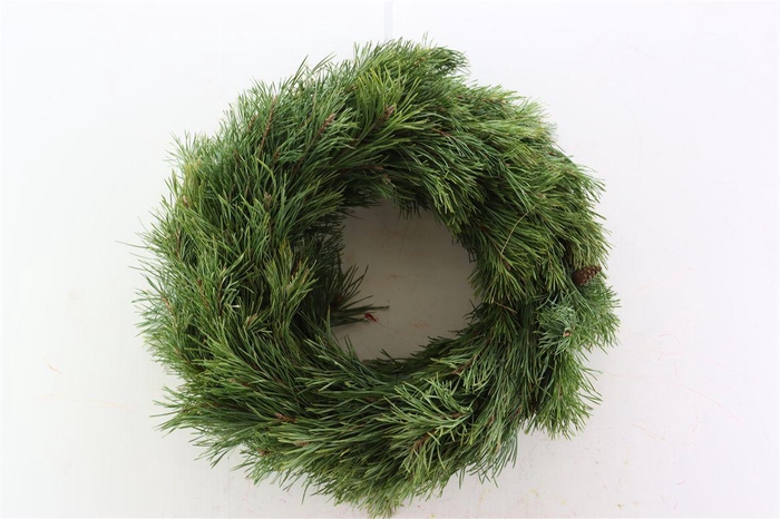 <h4>Wr Pinus 50cm Round</h4>