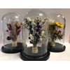 Stolp medi d12x20h dried bouquet