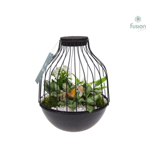 Vogelkooi metaal zwart Medium met arrangement