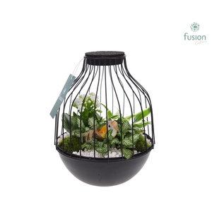 Vogelkooi metaal zwart Medium met arrangement