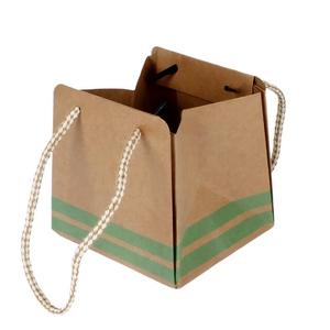 Bag Sporty carton 12.5x11.5xH12.5cm light green 20/bag