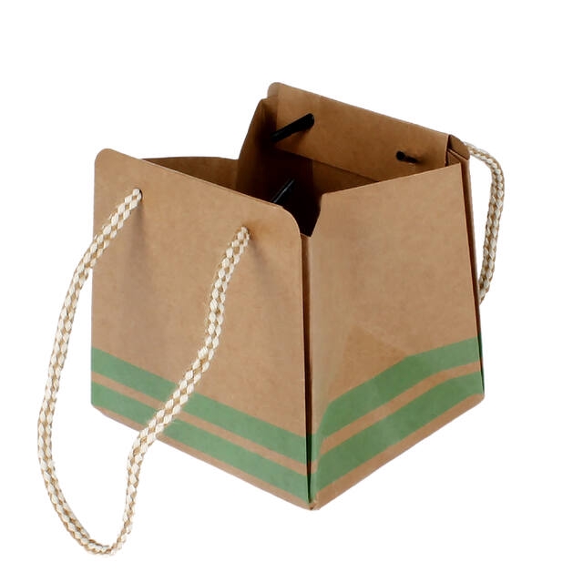 <h4>Bag Sporty carton 12.5x11.5xH12.5cm light green 20/bag</h4>