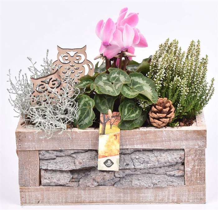 <h4>Boomschors rechthoek 28x13cm</h4>