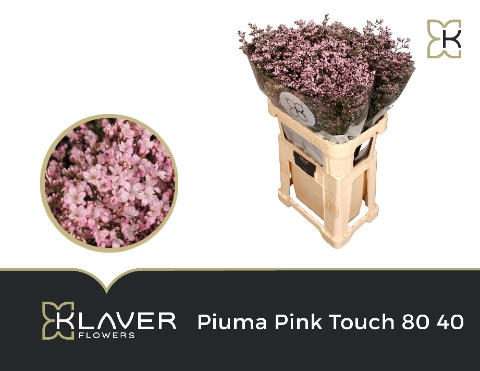 Lim Piuma Pink Touch 80 40