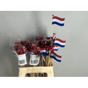 Stick Flag NL The Netherlands