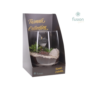 Glazen vaas Turmali Collection edelstenen met Succulent. Incl. Showdoos