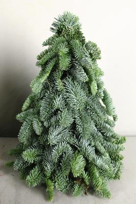 <h4>Tree Nobilis Natural 40cm</h4>