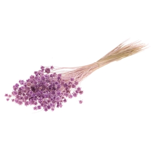Hill Flower 100gr Lilac Misty