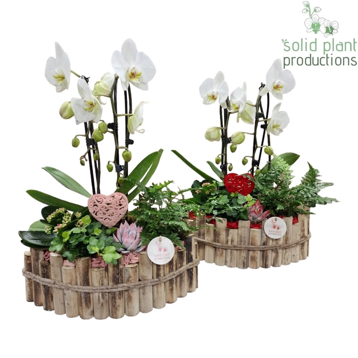 <h4>HVCA006 Napoli Large Red/Pink Mix</h4>